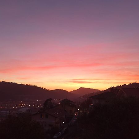 Il Glicine Cozy Appartamnent, Near Sestri Levante Between Cinque Terre E Portofino Casarza Ligure Eksteriør bilde