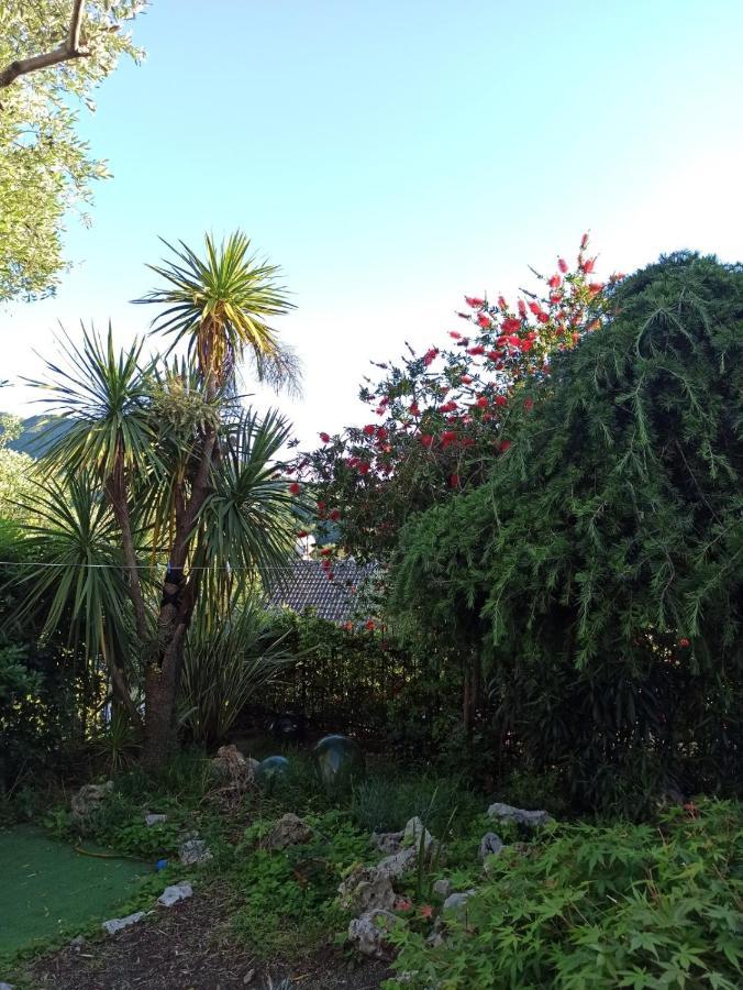 Il Glicine Cozy Appartamnent, Near Sestri Levante Between Cinque Terre E Portofino Casarza Ligure Eksteriør bilde
