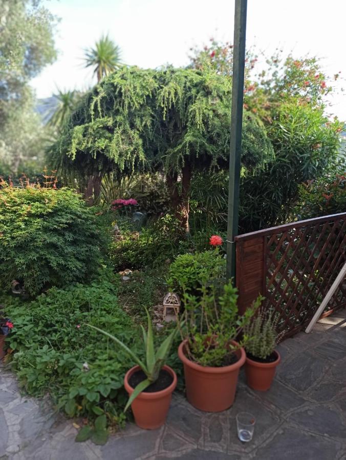 Il Glicine Cozy Appartamnent, Near Sestri Levante Between Cinque Terre E Portofino Casarza Ligure Eksteriør bilde