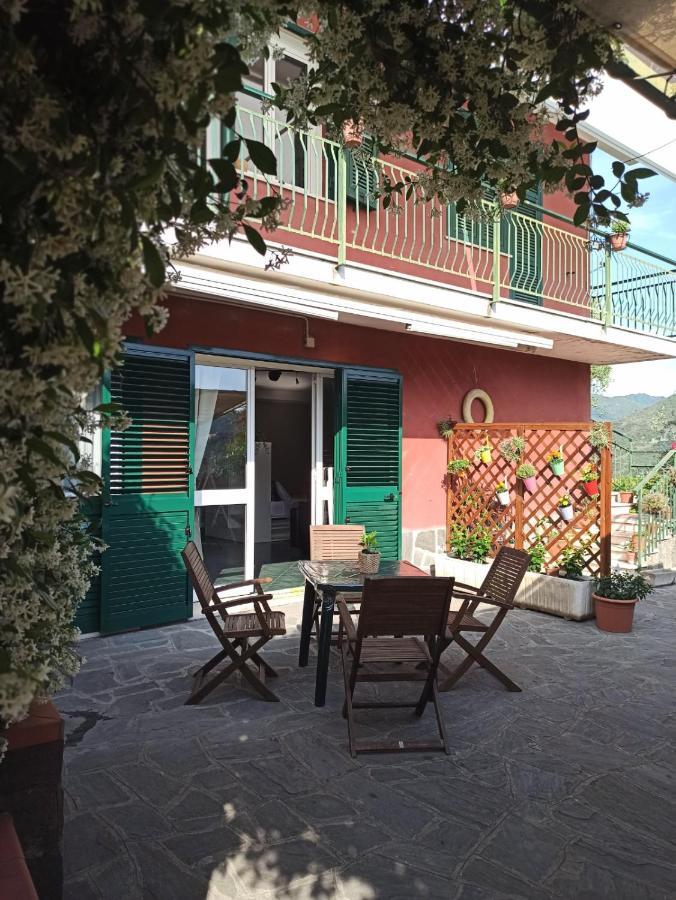 Il Glicine Cozy Appartamnent, Near Sestri Levante Between Cinque Terre E Portofino Casarza Ligure Eksteriør bilde