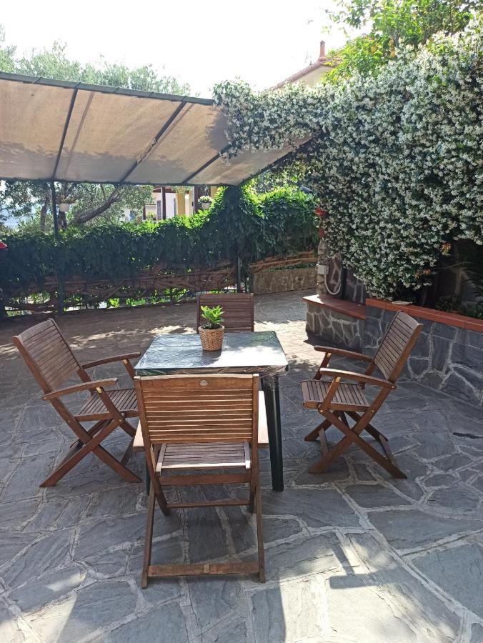Il Glicine Cozy Appartamnent, Near Sestri Levante Between Cinque Terre E Portofino Casarza Ligure Eksteriør bilde