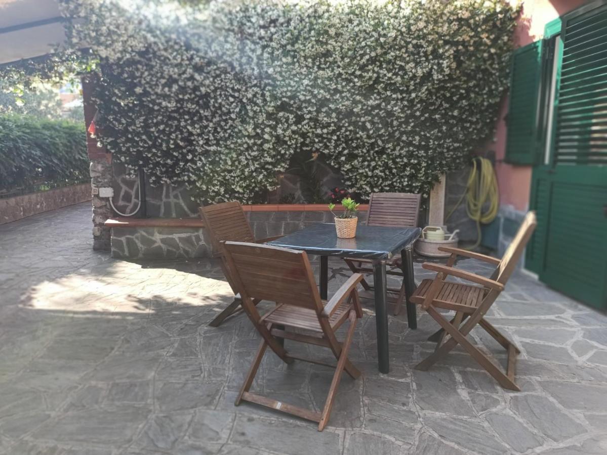 Il Glicine Cozy Appartamnent, Near Sestri Levante Between Cinque Terre E Portofino Casarza Ligure Eksteriør bilde