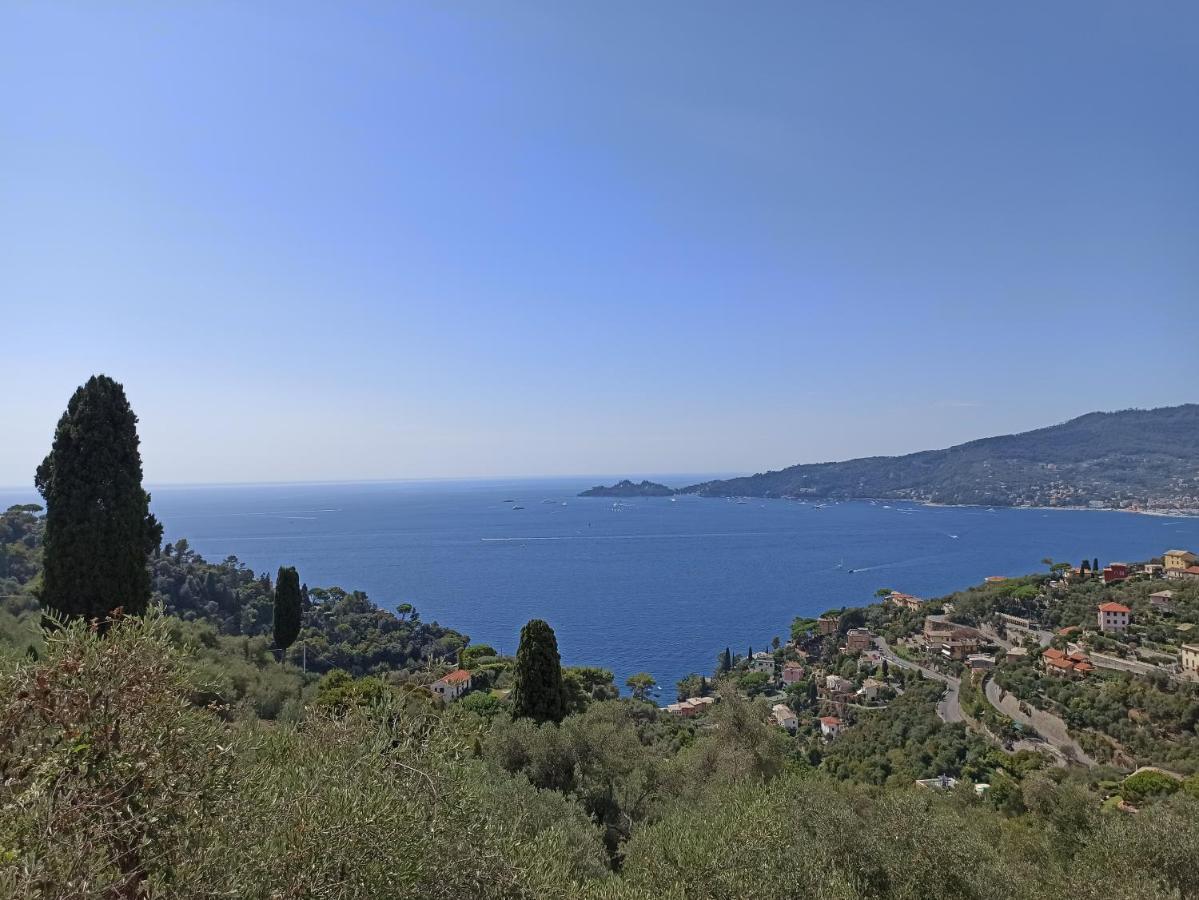 Il Glicine Cozy Appartamnent, Near Sestri Levante Between Cinque Terre E Portofino Casarza Ligure Eksteriør bilde