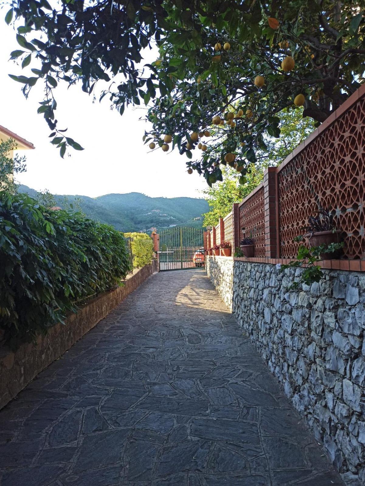 Il Glicine Cozy Appartamnent, Near Sestri Levante Between Cinque Terre E Portofino Casarza Ligure Eksteriør bilde